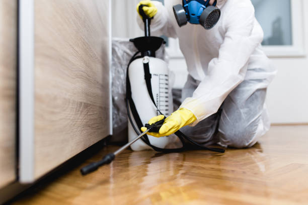 Wildlife Control Services in Truckee, CA