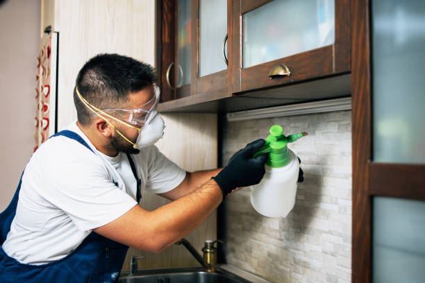 Best Rat Extermination Near Me  in Truckee, CA