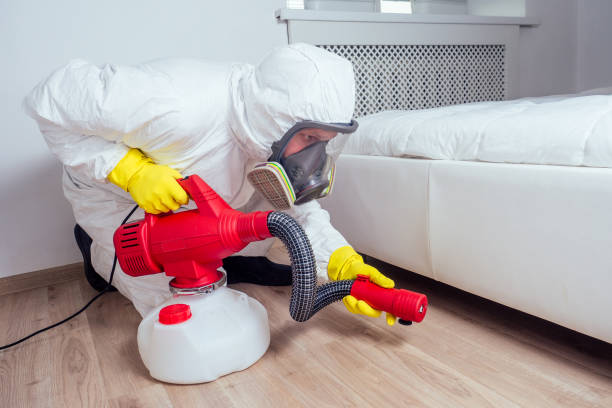 Best Flea Control Services  in Truckee, CA