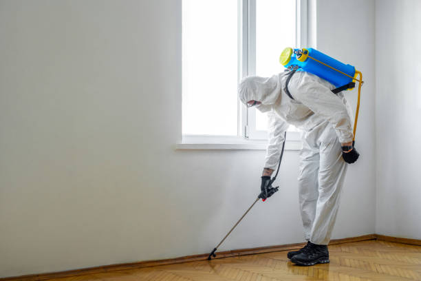 Best Bed Bug Extermination  in Truckee, CA
